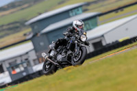 PJ-Motorsport-2019;anglesey-no-limits-trackday;anglesey-photographs;anglesey-trackday-photographs;enduro-digital-images;event-digital-images;eventdigitalimages;no-limits-trackdays;peter-wileman-photography;racing-digital-images;trac-mon;trackday-digital-images;trackday-photos;ty-croes